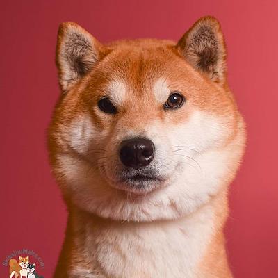 Mother - GRAYAN HOSHI HIGASI KLEOPATRA