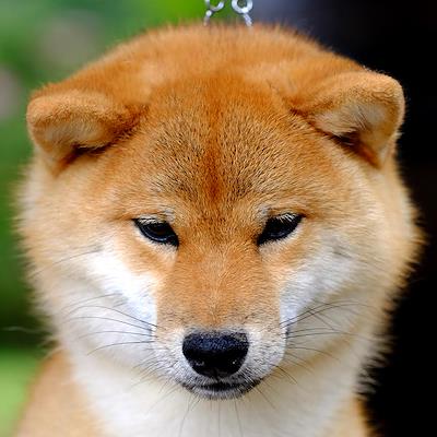 Mother - AKAI HANA HERUKA