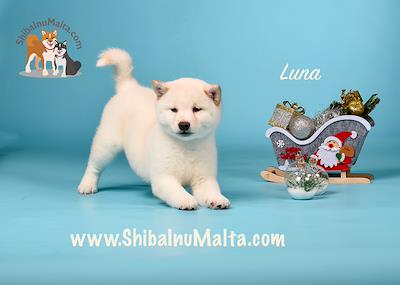 LUNA