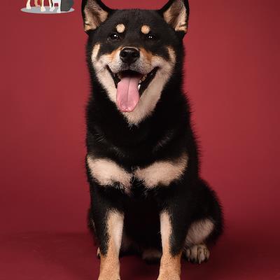 Father - TOMOKO ZANZI POH