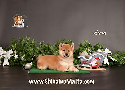 LUNA