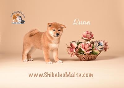LUNA